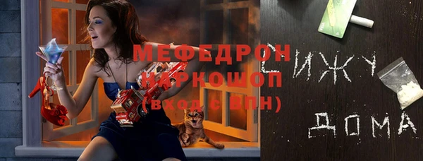 молекула духа Алексин