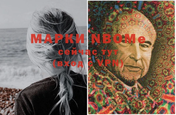 молекула духа Алексин