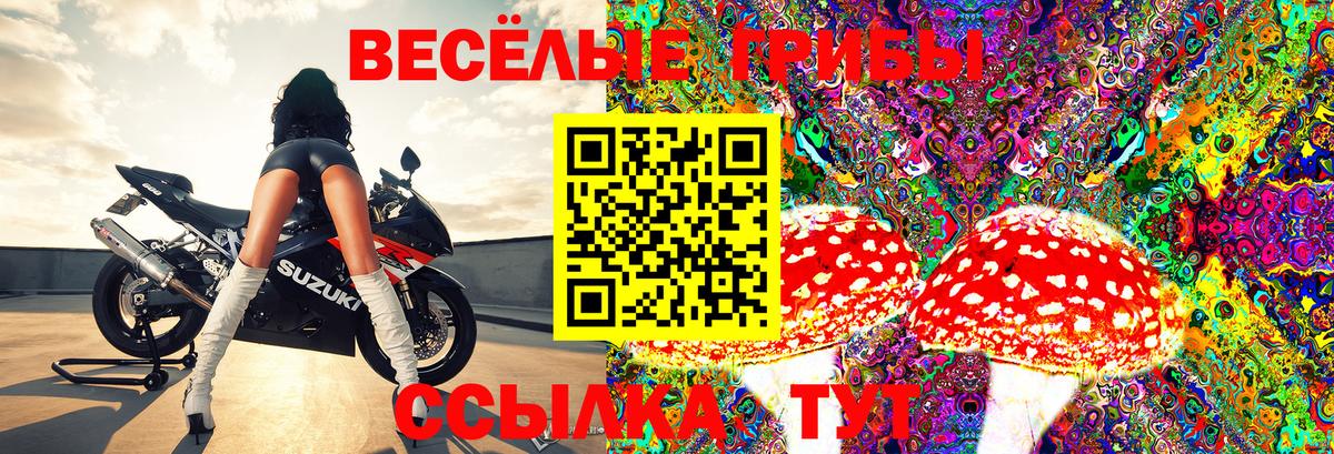 Галлюциногенные грибы Magic Shrooms  Псилоцибиновые грибы GOLDEN TEACHER  Вход с VPN  Фролово 